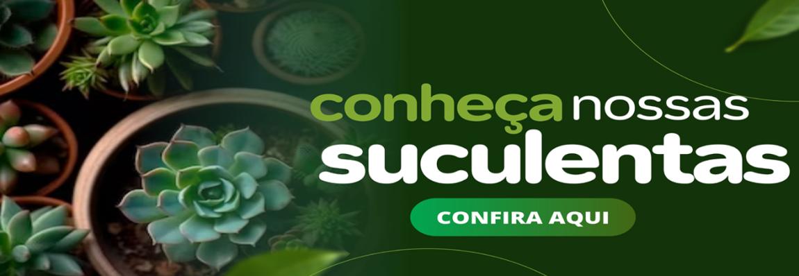 suculentas