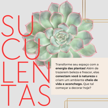 Mini Suculentas Para Lembrancinhas personalize do seu jeito