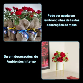 Mini -rosa cores sortidas -Para Presente Kit C/10