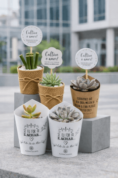 25 Mini Suculentas Para Lembrancinhas personalize do seu jeito