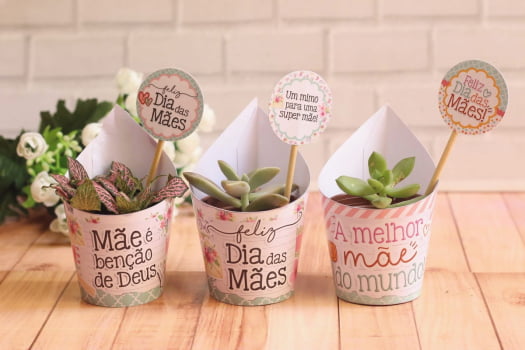 50 Mini Suculentas Para Lembrancinhas personalize do seu jeito 