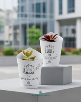 75 Mini Suculentas Para Lembrancinhas personalize do seu jeito