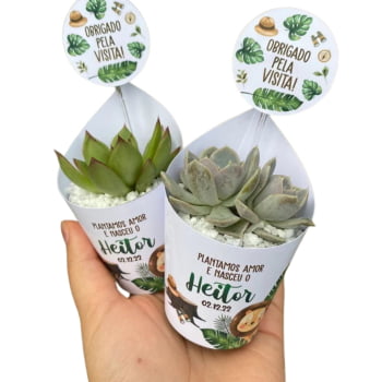75 Mini Suculentas Para Lembrancinhas personalize do seu jeito